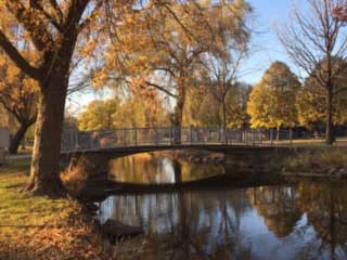 bridge over river with trees